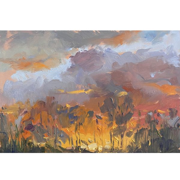 Twilight Skies Study-102